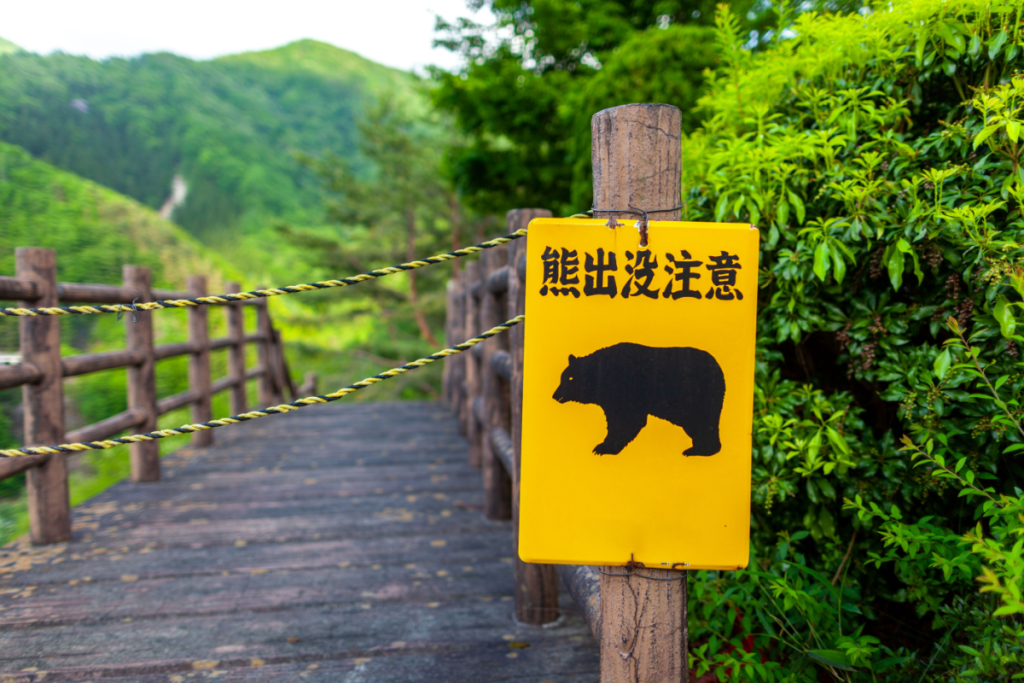 Japan Struggles With Rising Bear Encounters japan-struggles-with-rising-bear-encounters